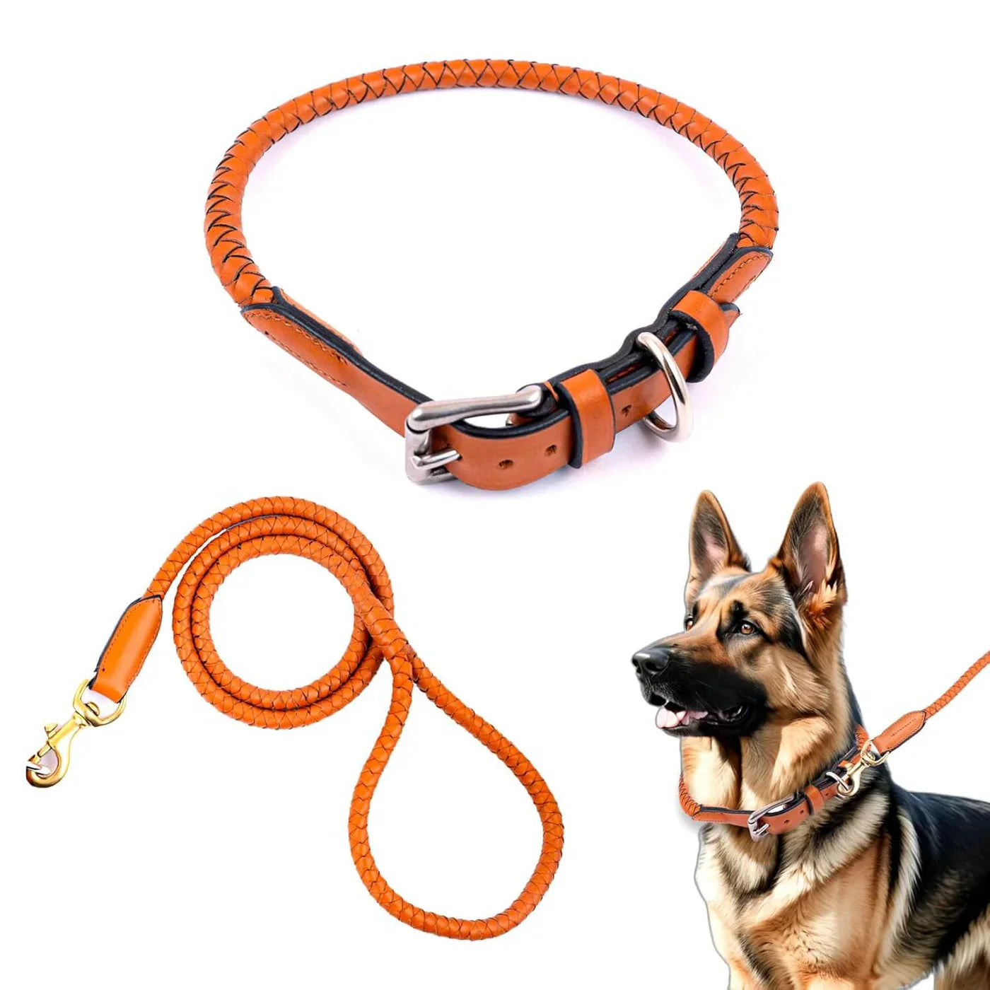 Basic Guide to Buy a Leather Dog Collar and Leash Set